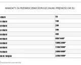 Tabela mandatów za przekroczenie prędkości. Recydywa oznacza wyższe kary, np. za 31-40 km/h zapłacisz 800/1600 zł.