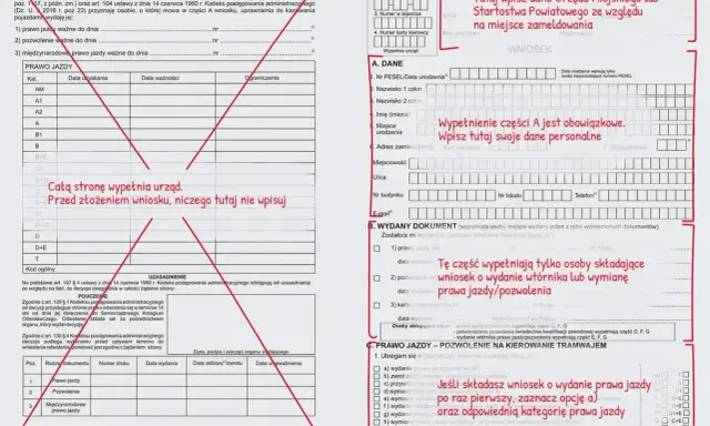 Wniosek o wydanie prawa jazdy. Wypełnij dane osobowe i zaznacz opcję "wydanie prawa jazdy po raz pierwszy".