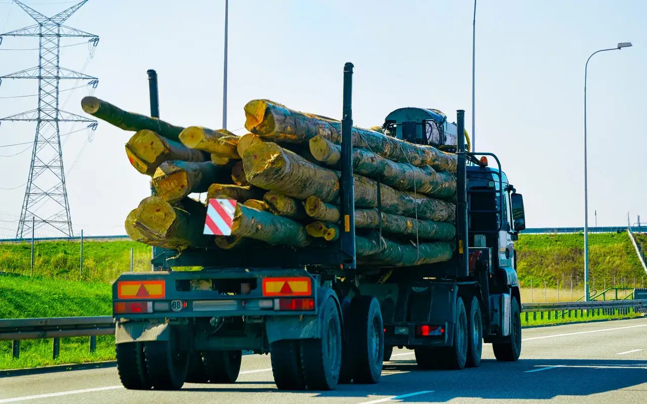 Ciężar&oacute;wka z drewnem na przyczepce. Ładunek wystaje znacząco, co może budzić pytania, ile może wystawać ładunek z przyczepki.